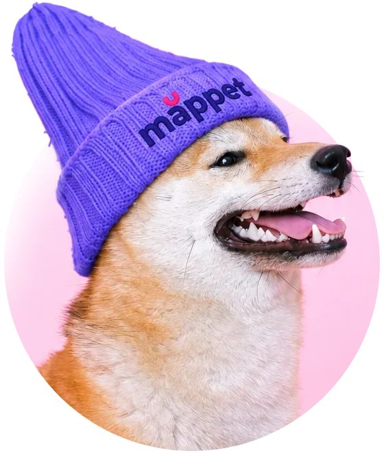 Perro shiba inu con un gorro morado de Mappet